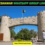 100+ Peshawar WhatsApp Group Links 2025 – Join Now & Chat