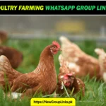 1000+ Poultry Farming WhatsApp Group Links 2025 | Join Now